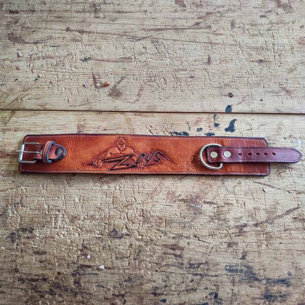 Collar para perro - Imagen 5