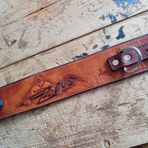 Collar para perro - Imagen 2