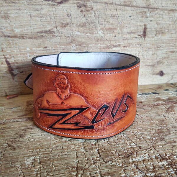 Collar para perro - Imagen 3