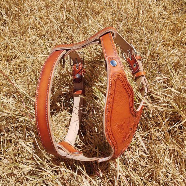 Pechera para perro - Imagen 3