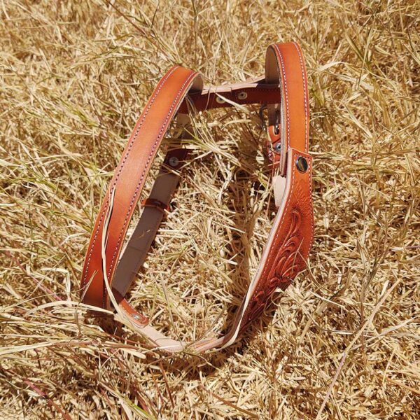 Pechera para perro - Imagen 4